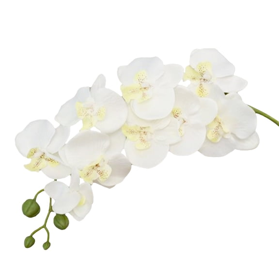 27 inch Artificial Orchid Stem Faux Phalaenopsis Flower Bouquet for Tall Vase Arrangement Home Wedding Party Elegant Decor Display White