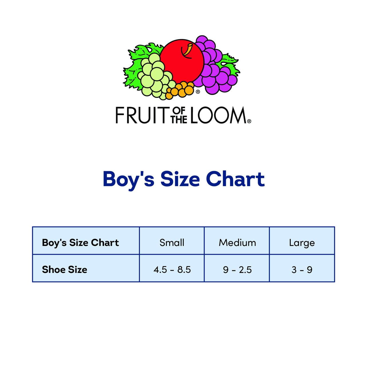 Fruit of The Loom Dual Defense No Show Socks for Boys, Assorted, Sizes 3-9 (10-Pack)