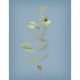 thumbnail image 2 of Bradley, Felicity 15x18 Gold Ornate Wood Framed with Double Matting Museum Art Print Titled - Simple Stems II Blue Crop, 2 of 4