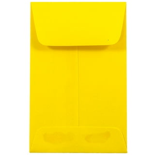 Jam #10 Plastic Envelopes, 5.3x10x1, 6/Pack, Assorted, Button String, 1 inch Expansion, Size: 5.25 x 10