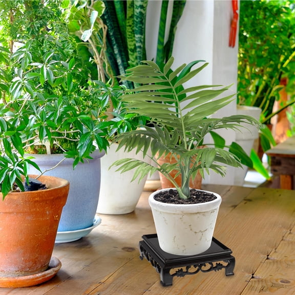 Hytrove 5Pcs Plastic Plant Pot Riser Black Indoor Household Plant Display Stand with Smooth Edges for Safety