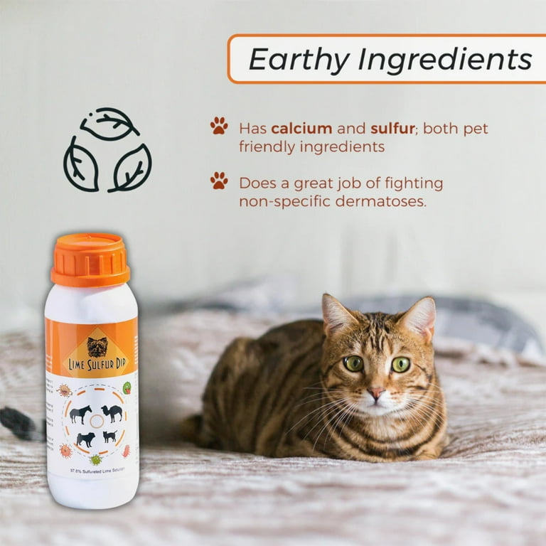 Antiparasitic shampoo clearance for dogs walmart