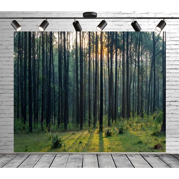 Diha 5x4ft Natural Forest Backdrop, Trees Sunshine Grassland, Backdrop for Party Decoration, Outdoor Theme Bedroom Wedding Day Photoshoot Background, Kids Game Video Studio Props