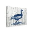 thumbnail image 2 of Trademark Fine Art 'Woodgrain Fowl IV' Canvas Art by Jennifer Goldberger, 2 of 4