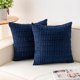 thumbnail image 1 of Chenchen Pack of 2 Corduroy Decorative Throw Pillow Covers 20x20 InchSoft Boho Striped Pillow Covers Modern Farmhouse Home Decor for Sofa Living Room Couch Bed（Blue）, 1 of 1