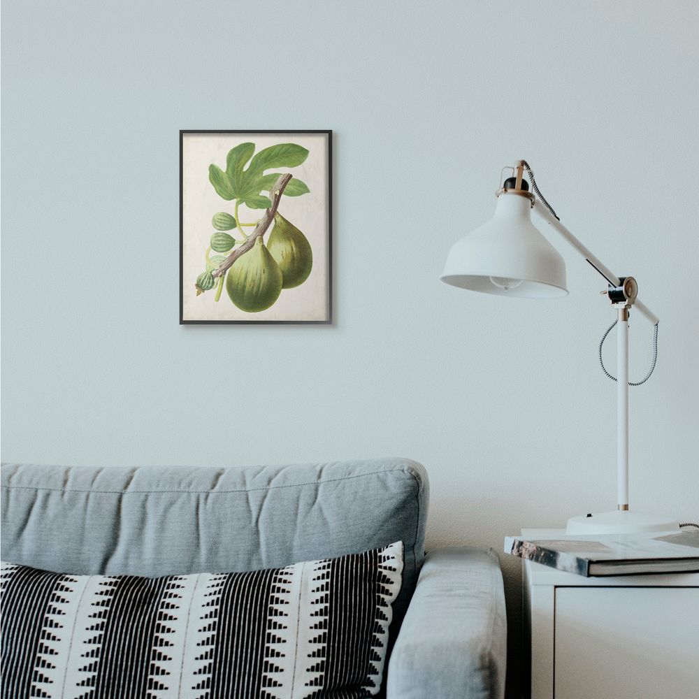 Stupell Industries Vintage Fruit Fig Painting Framed Giclee Texturized Art by Vision Studio