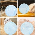 thumbnail image 2 of Clear Hamster Exercise Ball Dwarf Hamster Running Ball Funny Animal Exercise Supply, 2 of 8