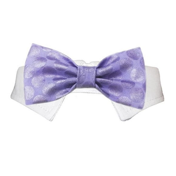 Pooch Outfitters PDBT-XS Noeud Papillon & 44; Violet - Extra Petit