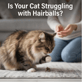 thumbnail image 4 of Hackerdom Freeze Dried Cat Grass Treats for Indoor Cats, Natural Hairball Remedy & Dental Cat Treats, 4 of 8