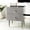 Gray, variant on Safavieh Couture Neptune Mid-Century Mdf and Steel End Table, White