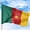 Cameroon, variant on Democratic Republic of the Congo Outdoor Flag (1x1.5ft) by DreamController - Durable, Fade-Resistant Polyester, Double-Stitched, Brass Grommets - HD Printed Central Africa Flag - Made in USA