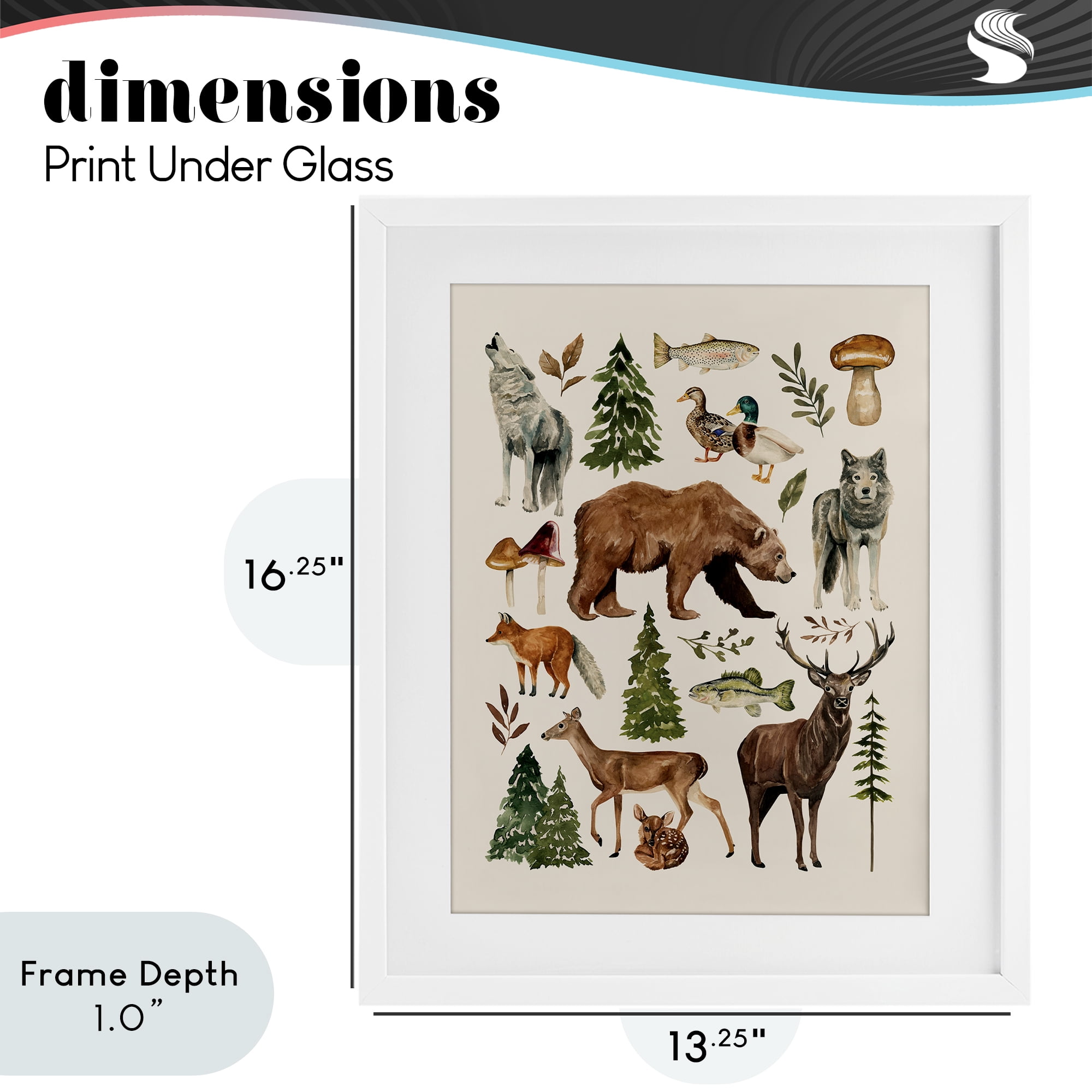 Stupell Industries The Wild Wood Animals White Framed Print Under Glass, design by Bethany Sandoval