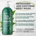 thumbnail image 2 of KESMEDIK Tea Tree Body Wash MaxTherapy, Itchy Skin Relief, Tea Tree Oil Soap, Soothes Jock Itch, Athlete's Foot, Ringworm, Eczema, Psoriasis & Sensitive Skin, Men & Women, 16 fl oz, Original Edition, 2 of 7