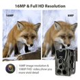 thumbnail image 4 of HC801A Hunting Trail Camera Wildlife Camera With Night Vision Motion Activated Outdoor Trail Camera Trigger Wildlife Scouting ,Lightweight  Compact, 4 of 7