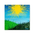 thumbnail image 2 of Trademark Fine Art "Sun Valley" Canvas Art by Roderick Stevens, 2 of 4