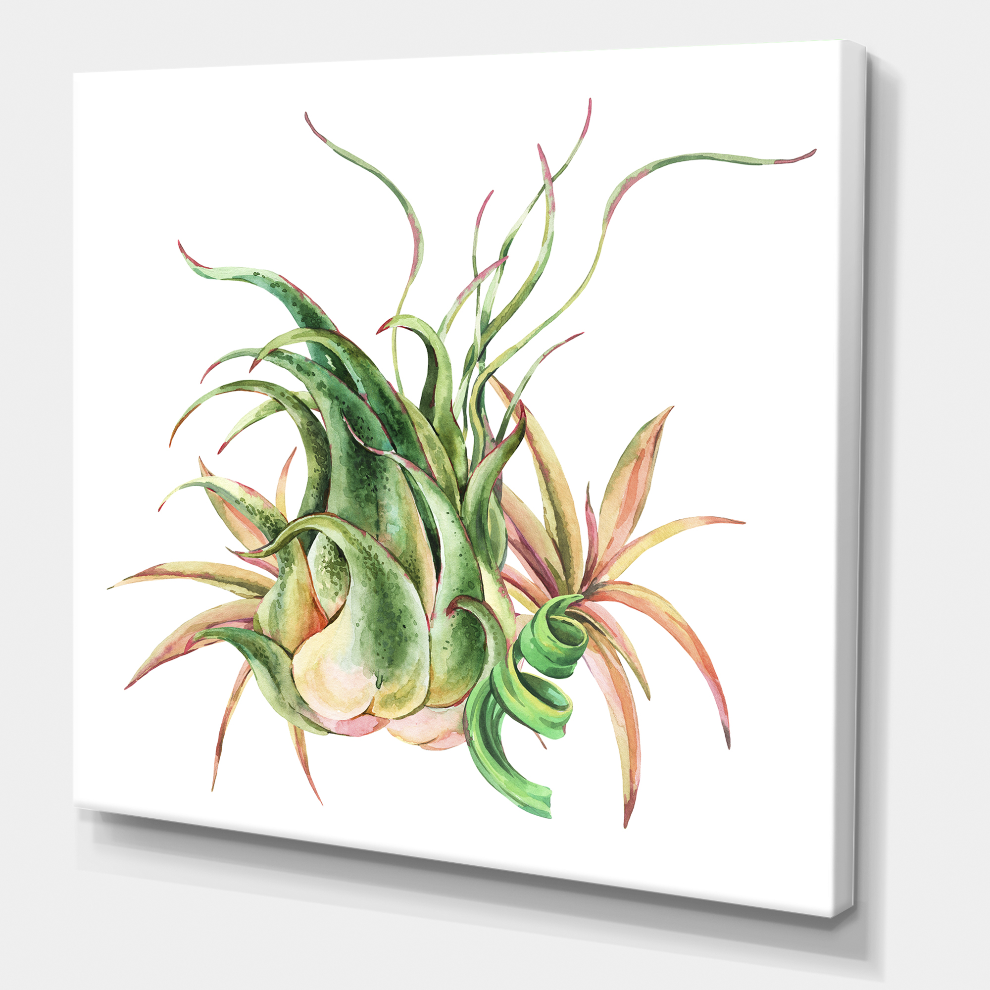 Tropical Leaves Air Plant Succulent On White 30 in x 30 in Painting Canvas Art Print, by Designart