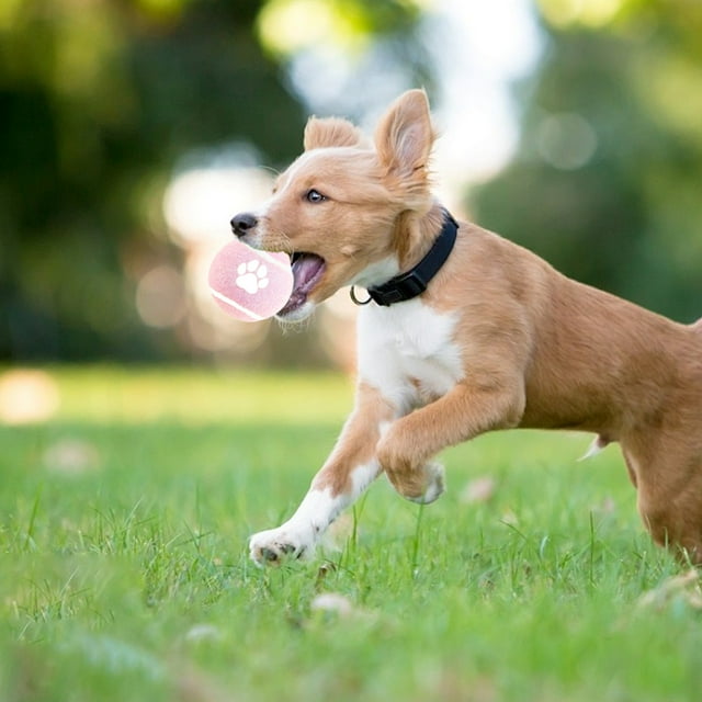 Taotanxi Solid Elastic Ball Is Suitable For Ball Grip Counteractive And Boring Dog Teething Pet Toys
