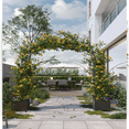 thumbnail image 5 of Garden Arch Trellis with Wheels for Climbing Plants Metal Arch Flowers Frame Backdrop Stand for Wedding Garden Party Plant Flower, 5 of 6