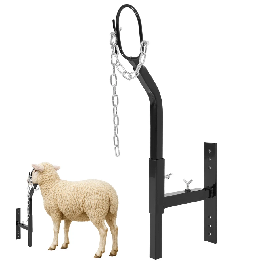 sheep Lots and lots of sheep – A Dartmoor blog