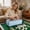 Sky Blue, variant on 21 Inch Mahjong Rack Storage Bag, Padded Mahjong Tile Carrying Case with Zipper & Handle, Fits Tiles Racks Pushers, Travel Organizer Bag Mahjong Gifts for Women Game Lovers