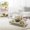 19.8"L x 11.4"W x 10.4"H, variant on Hamster Cage with  Accessories, Hamster Cage with Stand,Syrian  Cage for  mice,Rat Cage for Hamster,Succulent Style Hamster House(20''L*11.5''W*10.5''H)