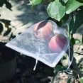 thumbnail image 4 of 100 Pcs Fruit Protection Bags,fruit Netting Bags for Fruit Trees Fruit Mesh Bag,with Drawstring Netting Barrier Bags for ,Fruit,Flower , 138 13cmx18cm White, 4 of 8