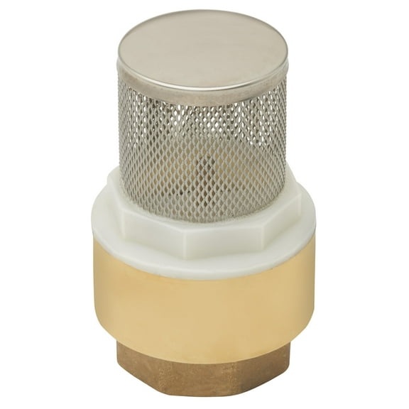 B&K ProLine 1 in. D Brass Spring Loaded Valve