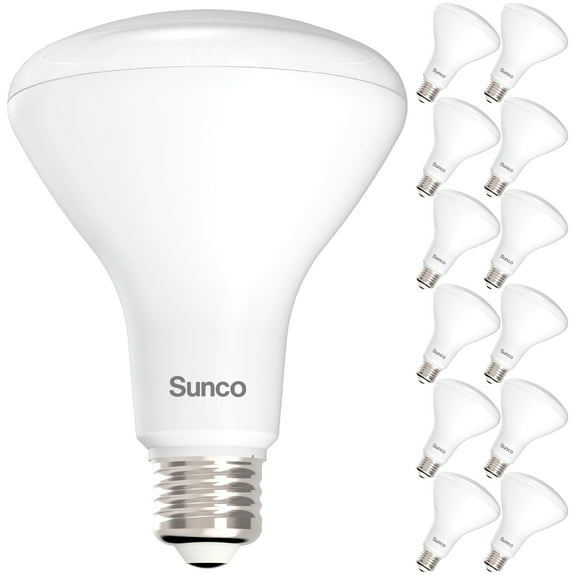 Sunco 12 Pack BR30 Light Bulbs LED, Recessed Can Light Bulbs, Indoor Flood Bulb, 850 LM, 11W (65W Equivalent), 5000K Daylight, Dimmable, E26 Base, For Home, Kitchen, Bedroom UL