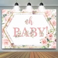 thumbnail image 1 of Pink Roses And Golden Frame Baby Shower Backdrop, 1 of 6