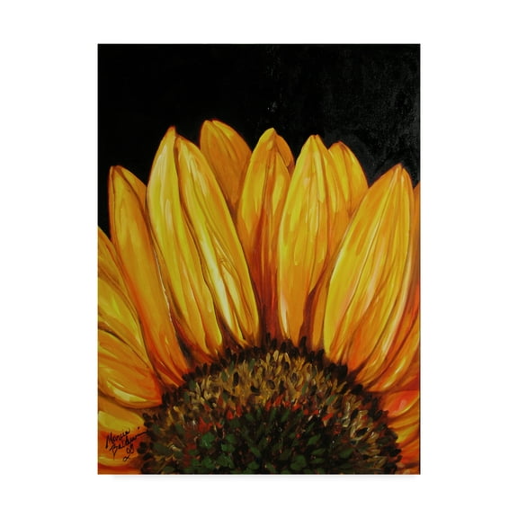 Trademark Fine Art 'Sunflower Sunflower' Canvas Art by Marcia Baldwin