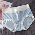 thumbnail image 3 of Women Cqxid525 Women's Panties Underwear for Women Seamless Bikini Regular Absorbency Underwear Blue, 3 of 8