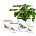 thumbnail image 3 of Wren Planter, 3 of 3