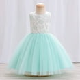 thumbnail image 6 of Esaierr Newborn Baby Girls Mesh Lace Princess Dress Infant Sleeveless Formal Dresses Tutu Party Gown Special Occasion Dress Birthday Outfit for 0-12 Months, 6 of 8