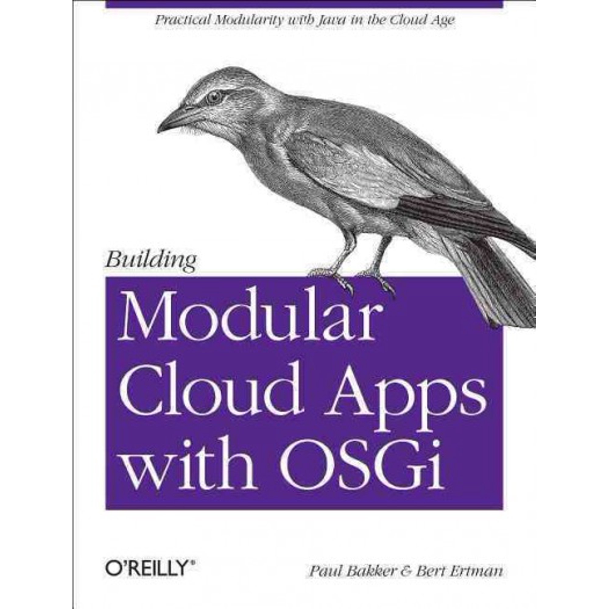 Building Modular Cloud Apps with Osgi: Practical Modularity with Java in the Cloud Age (Paperback)