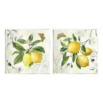 Stupell Industries Distressed Country Lemons Food & Beverage Painting Unframed Art Print Wall Art, 12 x 12, Set of 2