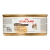 Royal Canin Feline Health Nutrition Intense Beauty Loaf in Sauce Wet Cat Food, 5.8 oz (Case of 24)
