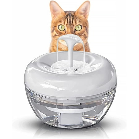Fontaine à eau pour chat silencieuse
