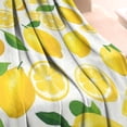 thumbnail image 3 of Lemon Blanket,Comfortable Soft Flannel Throw Blanket,All Season,Warm Lightweight Blankets for Sofa Bed Couch Living Room Chair,60"x80"(150x200cm), 3 of 4