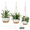 White, variant on 10 inch Plant Pot Hanging Planters Self Watering Pots for Indoor Plants, 3 Pack Plastic Hanging Basket with Removable Tray for Home Garden Porch Balcony Patio Decor,green