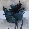 thumbnail image 3 of Vriesendorp, Heleen 12x12 Black Modern Framed Museum Art Print Titled - Estella Tulip I, 3 of 5