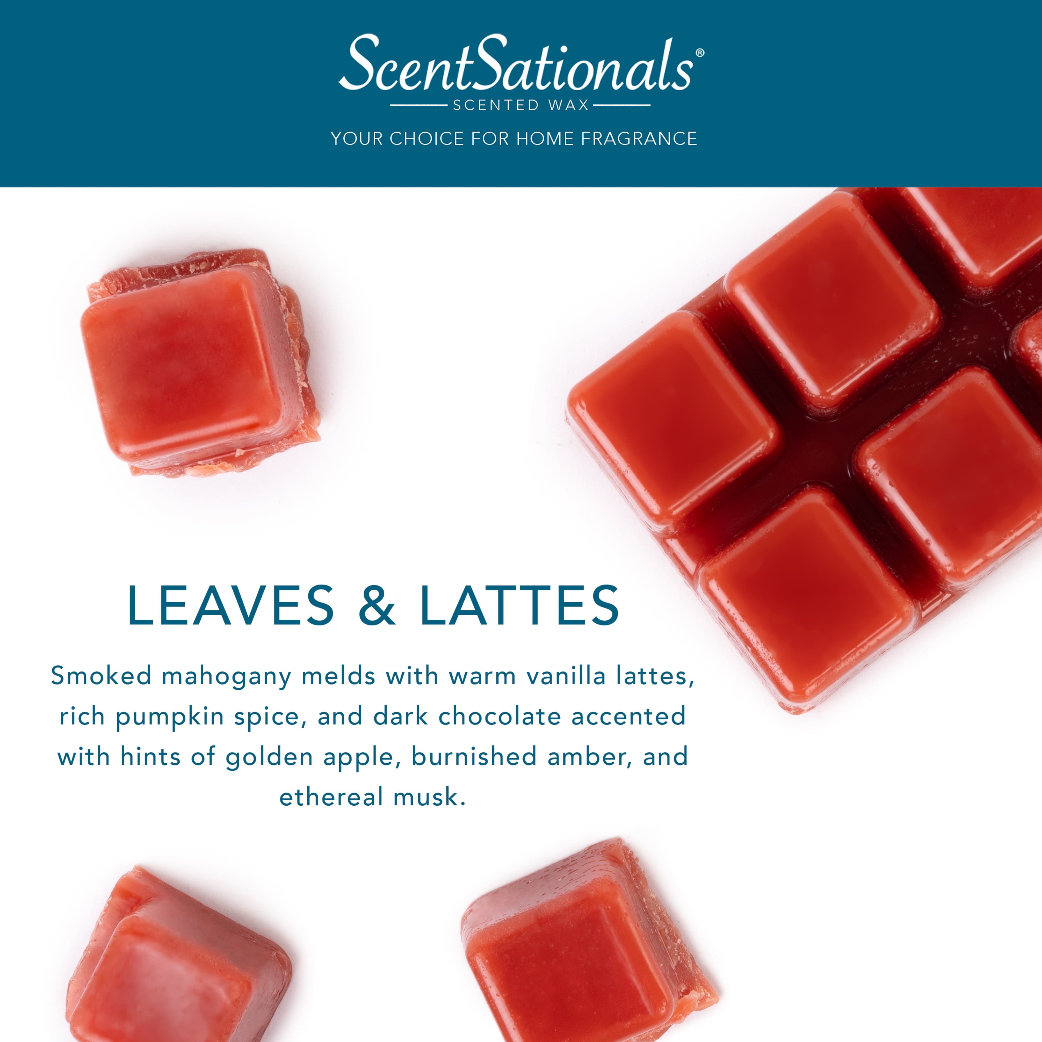 Clove Scented Wax Melts 2 Pack With FREE SHIPPING Scented Soy Wax Cubes  Compare to Scentsy® Wax Bars 