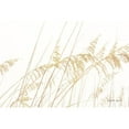 thumbnail image 3 of Urquhart, Elizabeth 24x17 Black Modern Framed Museum Art Print Titled - Blowing in the Wind I, 3 of 5