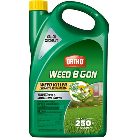 Ortho Weed B Gon Weed Killer For Lawns Concentrate, 1