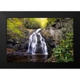 thumbnail image 2 of Head, Danny 24x17 Black Modern Framed Museum Art Print Titled - Spruce Flat Falls, 2 of 5