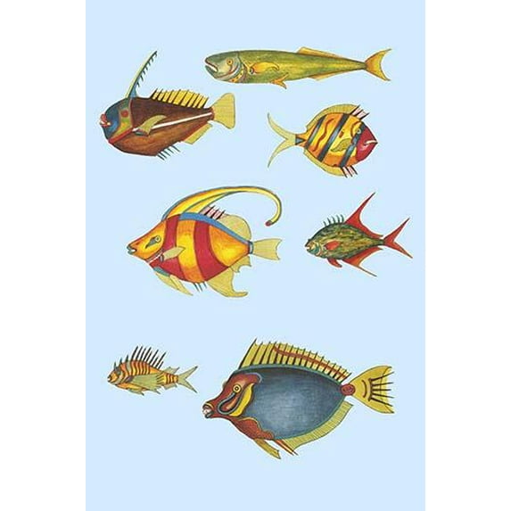 Rarest Curiosities of the Fish of the Indies (Plate 23)-Fine Art Canvas Print (20" x 30")