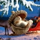 thumbnail image 4 of Adorno Navideño de Animales Del Bosque de 8 Cm | Colgante Navideño de Acrílico | Diseño Caprichoso de Vida Silvestre | Decoración Festiva Duradera para Árboles, Coronas y Centros de Mesa, 4 of 6