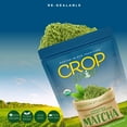 thumbnail image 2 of Crop By Pop Culinery Grade Matcha Green Tea Powder USDA Organic Non GMO (1.06 oz) All Natural, Keto, Vegan, Kosher, 2 of 7