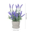 thumbnail image 5 of CRILSTYLEO Artificial Lavender Plant in Pot for Home Decoration, Purple, 4Pcs, 5 of 8