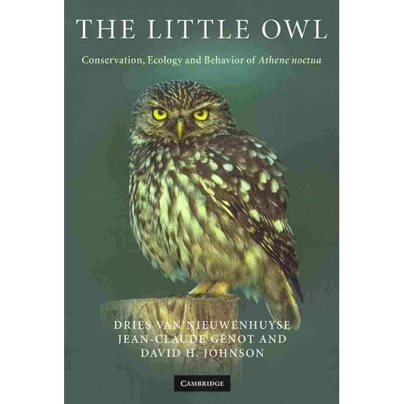 Le Petit Hibou : Conservation, Écologie et Comportement d'Athene Noctua