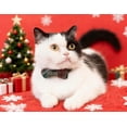 thumbnail image 2 of Mumup 1/2Pcs Christmas Cat Collar with Bow Tie Flower Sailor Bowtie Breakaway Safety Detachable Plaid Kitten Cats Pet Cute B Sailor Bow from 7" to 11", width 0.4", 2 of 4